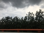 2017-09-02_05-55-59_F399C510-3B62-4705-BEB1-D46382CAC019.jpg