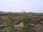 3295R0017329.JPG