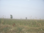 9162RIMG0243.JPG