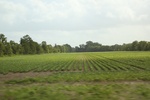 2022-05-26_14-50-54_3DAF2067-0617-40B8-AE82-2907B44EFF87.jpeg