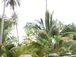 14242IMG_4582.JPG