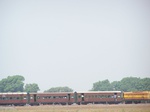 478601052008(58).JPG