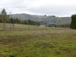 2017-02-22_14-39-17_2017-02-20_Erratic_RockN.JPG