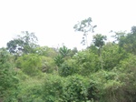 3765RIMG0069.JPG