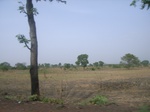 3788RIMG0092.JPG