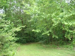 2018-06-02_15-03-43_DSC02505.JPG