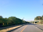 57989IMG_0952.JPG