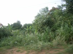 4055RIMG0359.JPG