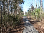 2017-02-24_13-51-07_Feb17-106-NC.jpg