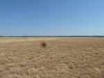 40387P1070776.JPG
