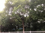 2017-09-10_20-39-05_B747DD98-1609-466A-B606-43AC1FEF75C2.jpg
