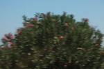 2018-11-15_14-32-55_2018-07-15 03.05.03.jpg