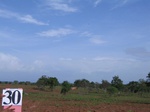826630-cropland-chena-mixeda.jpg