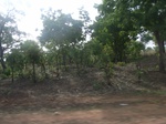 4040RIMG0344.JPG
