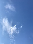 2020-08-03_21-12-39_2020-7-29-18-8-19.jpg