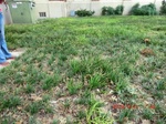 2012-10-02_09-57-49_CIMG6015.JPG