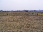 3250R0017284.JPG