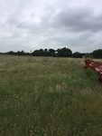 2017-05-27_09-23-42_2017_05_27 Facing North 15915 CR 668 Blue Ridge TX 75424.jpg