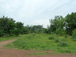 18357P1000193.JPG
