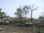 3774RIMG0078.JPG
