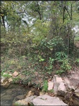 2020-11-10_19-55-29_north.JPG
