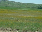 21448P1010093.JPG