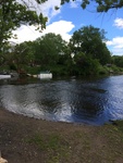 2017-06-13_14-33-16_East.jpg