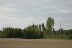 2018-04-14_13-37-09_2017-06-10 05.30.28.jpg