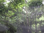 16331IMG_5108.JPG