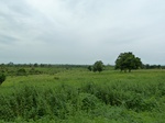 18418P1000254.JPG