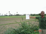 6000003a-irrigationmix(groundwater)-irrigation(supplemental)-rice-cotton.jpg