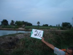 6169026b-irrigated-groundwater-pennar-delta-mixed-crop-sugarcane-rice-banana.jpg