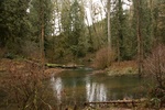 2017-05-12_12-53-24_Feb17-512-OR.jpg
