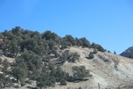 2022-01-19_14-32-27_4E8A1988.JPG
