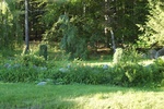 2017-07-05_14-51-30_NORTH 2.jpg