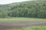 2022-06-12_15-55-20_286DFF5C-0A3C-40A4-A6A2-24255AEA630D.jpeg