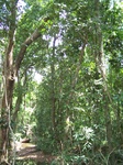 17520100_2781.JPG