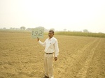 6755gt192-cropland-1.jpg