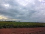 40740CIMG6713.JPG