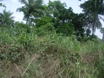 3750RIMG0054.JPG