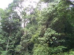 1706911052008(76).JPG