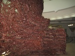 14904IMG_5298.JPG