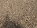 2021-03-20_22-07-55_79EF6518-30A7-4439-AF36-F8A460200D5B.jpg
