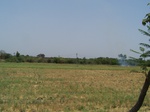 1763422042008(14).JPG