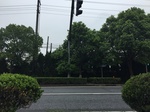 2017-09-10_08-39-56_46195163-82A8-4791-85A6-95326B3AFAA2.jpg