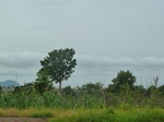18539P1000375.JPG