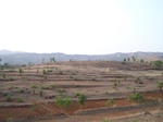 508220042008(159).JPG