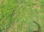 18848P1000688.JPG