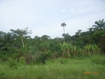 3726RIMG0029.JPG