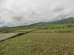 2012-09-07_10-19-59_CIMG6716.JPG